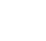 logo btg